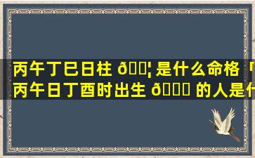 丙午丁巳日柱 🐦 是什么命格「丙午日丁酉时出生 🐕 的人是什么命」